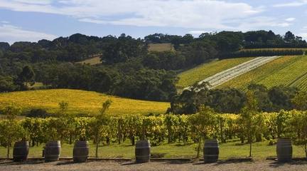 重慶梁平出國勞務(wù)與道路普通貨運發(fā)展現(xiàn)狀與機遇